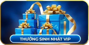thuong-sinh-nhat-vip